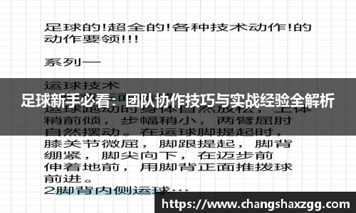 足球新手必看：团队协作技巧与实战经验全解析